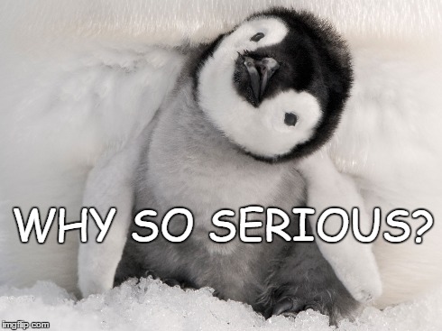 Why So Serious Baby Penguin | WHY SO SERIOUS? | image tagged in baby,penguin,serious,why so,joker,cute | made w/ Imgflip meme maker