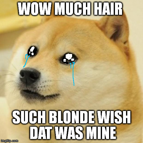 Doge Meme | WOW MUCH HAIR SUCH BLONDE WISH DAT WAS MINE | image tagged in memes,doge | made w/ Imgflip meme maker