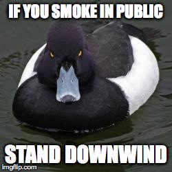 Angry Advice Mallard | IF YOU SMOKE IN PUBLIC STAND DOWNWIND | image tagged in angry advice mallard | made w/ Imgflip meme maker