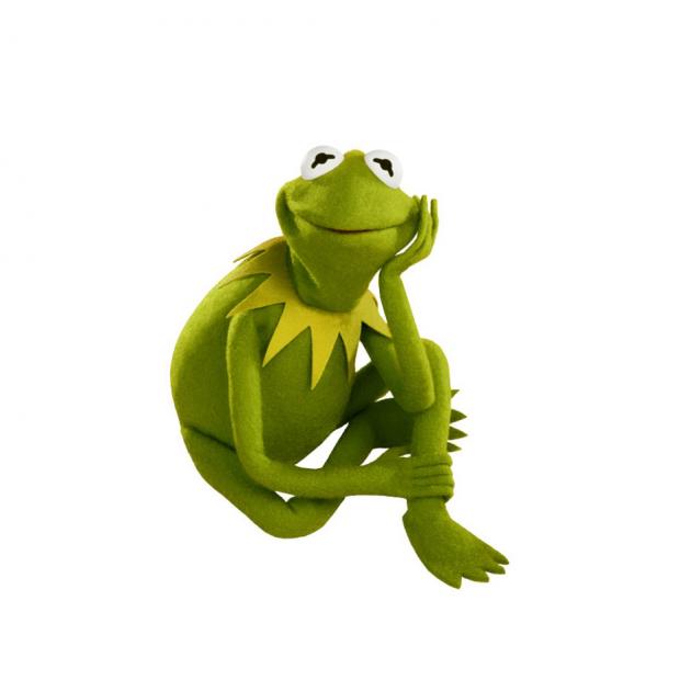 Kermit the frog Blank Meme Template