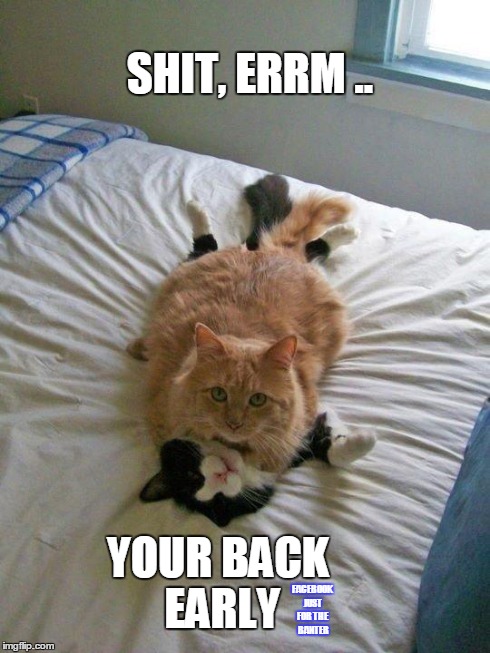 funny cats | SHIT, ERRM .. YOUR BACK EARLY FACEBOOK JUST FOR THE BANTER | image tagged in funny cats | made w/ Imgflip meme maker