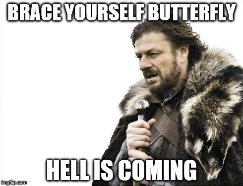 Brace Yourselves X is Coming Meme | BRACE YOURSELF BUTTERFLY HELL IS COMING | image tagged in memes,brace yourselves x is coming | made w/ Imgflip meme maker