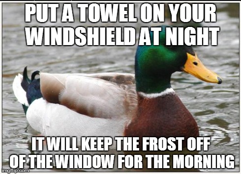 Actual Advice Mallard | PUT A TOWEL ON YOUR WINDSHIELD AT NIGHT IT WILL KEEP THE FROST OFF OF THE WINDOW FOR THE MORNING | image tagged in memes,actual advice mallard,AdviceAnimals | made w/ Imgflip meme maker