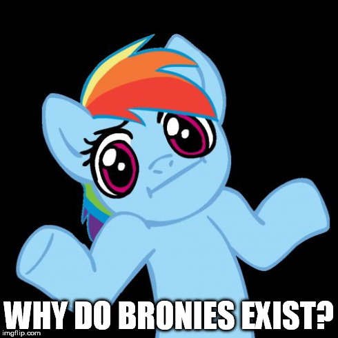 Pony Shrugs | WHY DO BRONIES EXIST? | image tagged in memes,pony shrugs | made w/ Imgflip meme maker