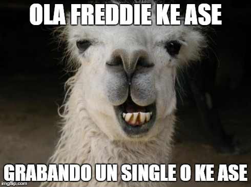 OLA FREDDIE KE ASE GRABANDO UN SINGLE O KE ASE | image tagged in llama | made w/ Imgflip meme maker