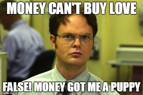 FALSE! | MONEY CAN'T BUY LOVE FALSE! MONEY GOT ME A PUPPY | image tagged in false,puppy,money | made w/ Imgflip meme maker