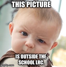 Skeptical Baby | THIS PICTURE IS OUTSIDE THE SCHOOL LRC. | image tagged in memes,skeptical baby | made w/ Imgflip meme maker