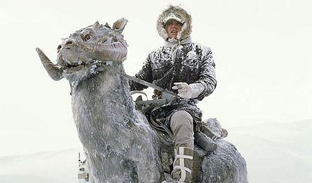 High Quality TaunTaun Blank Meme Template