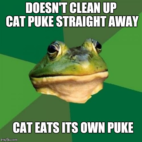 Foul Bachelor Frog Meme | DOESN'T CLEAN UP CAT PUKE STRAIGHT AWAY CAT EATS ITS OWN PUKE | image tagged in memes,foul bachelor frog,AdviceAnimals | made w/ Imgflip meme maker