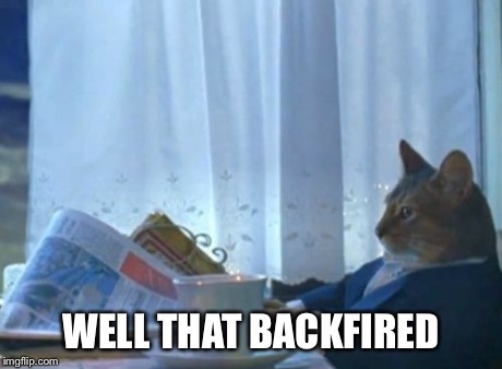 I Should Buy A Boat Cat | WELL THAT BACKFIRED | image tagged in memes,i should buy a boat cat | made w/ Imgflip meme maker
