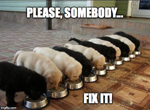 Make it stop! | PLEASE, SOMEBODY... FIX IT! | image tagged in ocd,dogs,puppies,cute | made w/ Imgflip meme maker