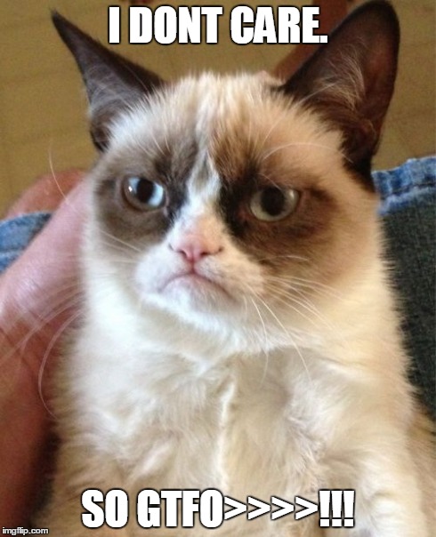I DONT CARE. SO GTFO>>>>!!! | image tagged in memes,grumpy cat | made w/ Imgflip meme maker