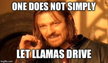 One Does Not Simply Meme | ONE DOES NOT SIMPLY LET LLAMAS DRIVE | image tagged in memes,one does not simply | made w/ Imgflip meme maker