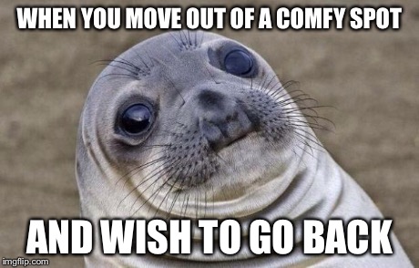 Awkward Moment Sealion | WHEN YOU MOVE OUT OF A COMFY SPOT AND WISH TO GO BACK | image tagged in memes,awkward moment sealion | made w/ Imgflip meme maker
