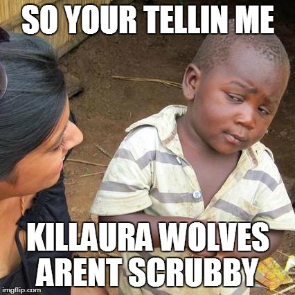 Third World Skeptical Kid Meme | SO YOUR TELLIN ME KILLAURA WOLVES ARENT SCRUBBY | image tagged in memes,third world skeptical kid | made w/ Imgflip meme maker