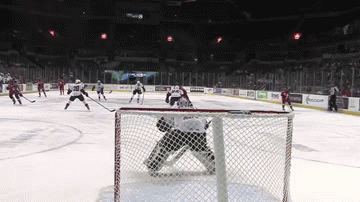 AHL defenseman Ryan Sproul scores goal with bank shot off back glass (Video)
