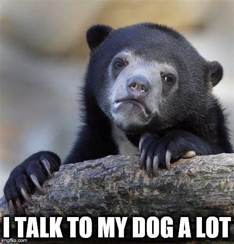 Confession Bear | I TALK TO MY DOG A LOT | image tagged in memes,confession bear,AdviceAnimals | made w/ Imgflip meme maker