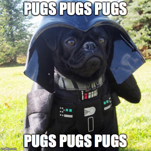 Darth Pug | PUGS PUGS PUGS PUGS PUGS PUGS | image tagged in darth pug | made w/ Imgflip meme maker