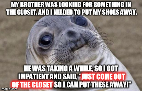 True story. | MY BROTHER WAS LOOKING FOR SOMETHING IN THE CLOSET, AND I NEEDED TO PUT MY SHOES AWAY. HE WAS TAKING A WHILE, SO I GOT IMPATIENT AND SAID, " | image tagged in memes,awkward moment sealion,true story | made w/ Imgflip meme maker