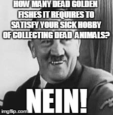 Bad Joke Hitler | HOW MANY DEAD GOLDEN FISHES IT REQUIRES TO SATISFY YOUR SICK HOBBY OF COLLECTING DEAD  ANIMALS? NEIN! | image tagged in bad joke hitler,memes,meme,hitler,joke,pun | made w/ Imgflip meme maker
