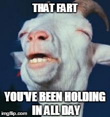 goat | THAT FART YOU'VE BEEN HOLDING IN ALL DAY | image tagged in goat | made w/ Imgflip meme maker