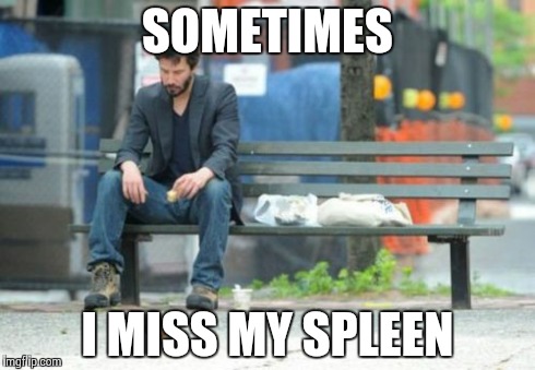 Sad Keanu | SOMETIMES I MISS MY SPLEEN | image tagged in memes,sad keanu | made w/ Imgflip meme maker