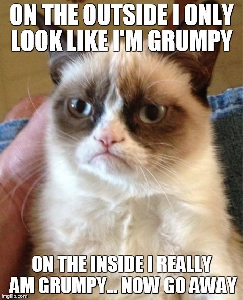 I Really Am Grumpy | ON THE OUTSIDE I ONLY LOOK LIKE I'M GRUMPY ON THE INSIDE I REALLY AM GRUMPY... NOW GO AWAY | image tagged in memes,grumpy cat | made w/ Imgflip meme maker
