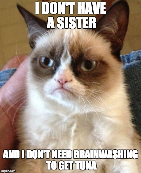 Grumpy Cat Meme | I DON'T HAVE A SISTER AND I DON'T NEED BRAINWASHING TO GET TUNA | image tagged in memes,grumpy cat | made w/ Imgflip meme maker