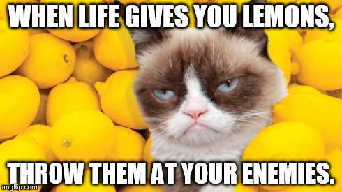 Grumpy Cat lemons | WHEN LIFE GIVES YOU LEMONS, THROW THEM AT YOUR ENEMIES. | image tagged in grumpy cat lemons,grumpy cat | made w/ Imgflip meme maker