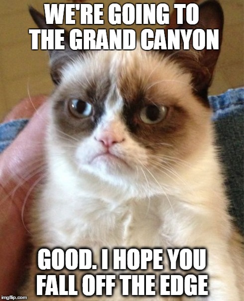 Grumpy Cat | WE'RE GOING TO THE GRAND CANYON GOOD. I HOPE YOU FALL OFF THE EDGE | image tagged in memes,grumpy cat | made w/ Imgflip meme maker