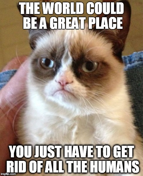 Grumpy Cat | THE WORLD COULD BE A GREAT PLACE YOU JUST HAVE TO GET RID OF ALL THE HUMANS | image tagged in memes,grumpy cat | made w/ Imgflip meme maker