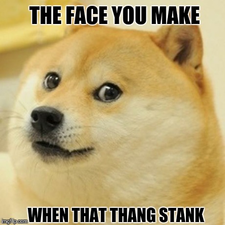 Doge Meme | THE FACE YOU MAKE WHEN THAT THANG STANK | image tagged in memes,doge | made w/ Imgflip meme maker