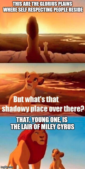 Simba Shadowy Place Meme | THIS ARE THE GLORIUS PLAINS WHERE SELF RESPECTING PEOPLE RESIDE THAT, YOUNG ONE, IS THE LAIR OF MILEY CYRUS | image tagged in memes,simba shadowy place | made w/ Imgflip meme maker