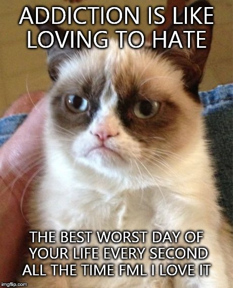 Grumpy Cat | ADDICTION IS LIKE LOVING TO HATE THE BEST WORST DAY OF YOUR LIFE EVERY SECOND ALL THE TIME FML I LOVE IT | image tagged in memes,grumpy cat | made w/ Imgflip meme maker