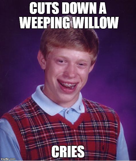 Bad Luck Brian Meme | CUTS DOWN A WEEPING WILLOW CRIES | image tagged in memes,bad luck brian | made w/ Imgflip meme maker