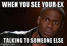 Kevin Hart Meme | WHEN YOU SEE YOUR EX TALKING TO SOMEONE ELSE | image tagged in memes,kevin hart the hell | made w/ Imgflip meme maker