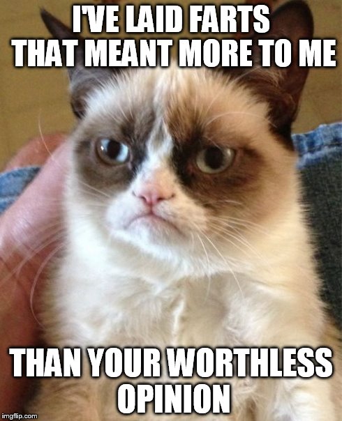 Grumpy Cat | I'VE LAID FARTS THAT MEANT MORE TO ME THAN YOUR WORTHLESS OPINION | image tagged in memes,grumpy cat | made w/ Imgflip meme maker