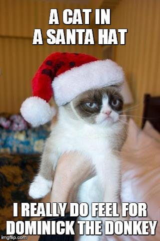 Cat In A Santa Hat | A CAT IN A SANTA HAT I REALLY DO FEEL FOR DOMINICK THE DONKEY | image tagged in memes,grumpy cat christmas,grumpy cat | made w/ Imgflip meme maker