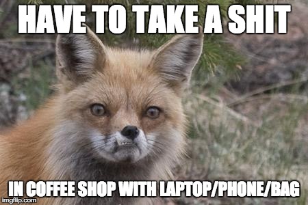 Frustrated Fox | HAVE TO TAKE A SHIT IN COFFEE SHOP WITH LAPTOP/PHONE/BAG | image tagged in frustrated fox,AdviceAnimals | made w/ Imgflip meme maker