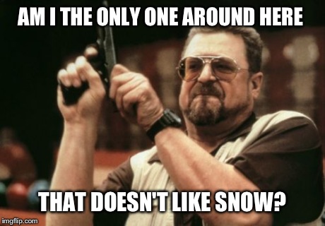 Am I The Only One Around Here Meme | AM I THE ONLY ONE AROUND HERE THAT DOESN'T LIKE SNOW? | image tagged in memes,am i the only one around here | made w/ Imgflip meme maker