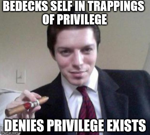 BEDECKS SELF IN TRAPPINGS OF PRIVILEGE DENIES PRIVILEGE EXISTS | made w/ Imgflip meme maker