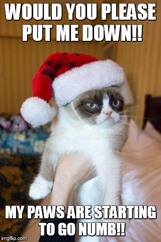Put Me Down! | WOULD YOU PLEASE PUT ME DOWN!! MY PAWS ARE STARTING TO GO NUMB!! | image tagged in memes,grumpy cat christmas,grumpy cat | made w/ Imgflip meme maker