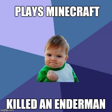 Success Kid | PLAYS MINECRAFT KILLED AN ENDERMAN | image tagged in memes,success kid | made w/ Imgflip meme maker