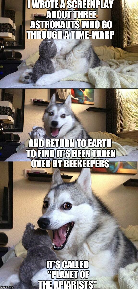 Bad Pun Dog Meme | I WROTE A SCREENPLAY ABOUT THREE ASTRONAUTS WHO GO THROUGH A TIME-WARP IT'S CALLED "PLANET OF THE APIARISTS" AND RETURN TO EARTH TO FIND IT' | image tagged in memes,bad pun dog | made w/ Imgflip meme maker
