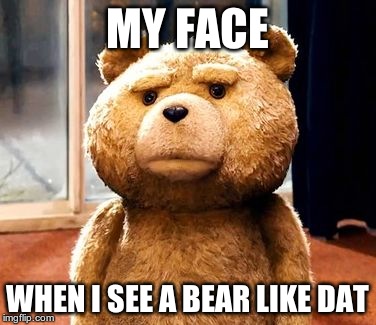 TED Meme | MY FACE WHEN I SEE A BEAR LIKE DAT | image tagged in memes,ted | made w/ Imgflip meme maker