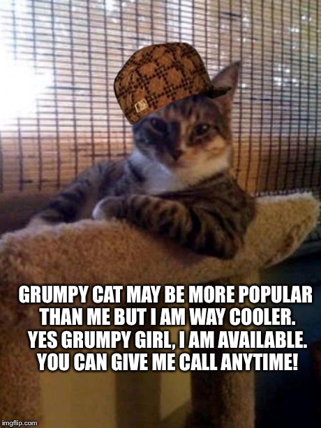 Call Me Anytime | GRUMPY CAT MAY BE MORE POPULAR THAN ME BUT I AM WAY COOLER. YES GRUMPY GIRL, I AM AVAILABLE. YOU CAN GIVE ME CALL ANYTIME! | image tagged in memes,the most interesting cat in the world,scumbag | made w/ Imgflip meme maker