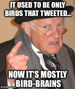 It used to be birds... | IT USED TO BE ONLY BIRDS THAT TWEETED... NOW IT'S MOSTLY BIRD-BRAINS | image tagged in memes,back in my day,twitter,tweet,birds | made w/ Imgflip meme maker