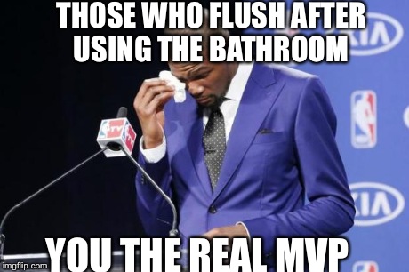 You The Real MVP 2 | THOSE WHO FLUSH AFTER USING THE BATHROOM YOU THE REAL MVP | image tagged in memes,you the real mvp 2 | made w/ Imgflip meme maker