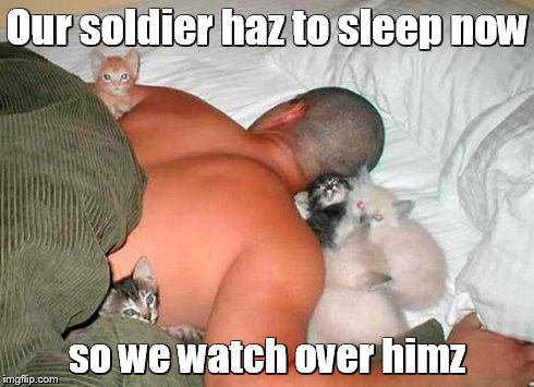 Our soldier haz to sleep now so we watch over himz | image tagged in kittens,cute | made w/ Imgflip meme maker