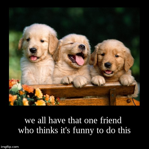 We all have that one friend | image tagged in funny,demotivationals | made w/ Imgflip demotivational maker
